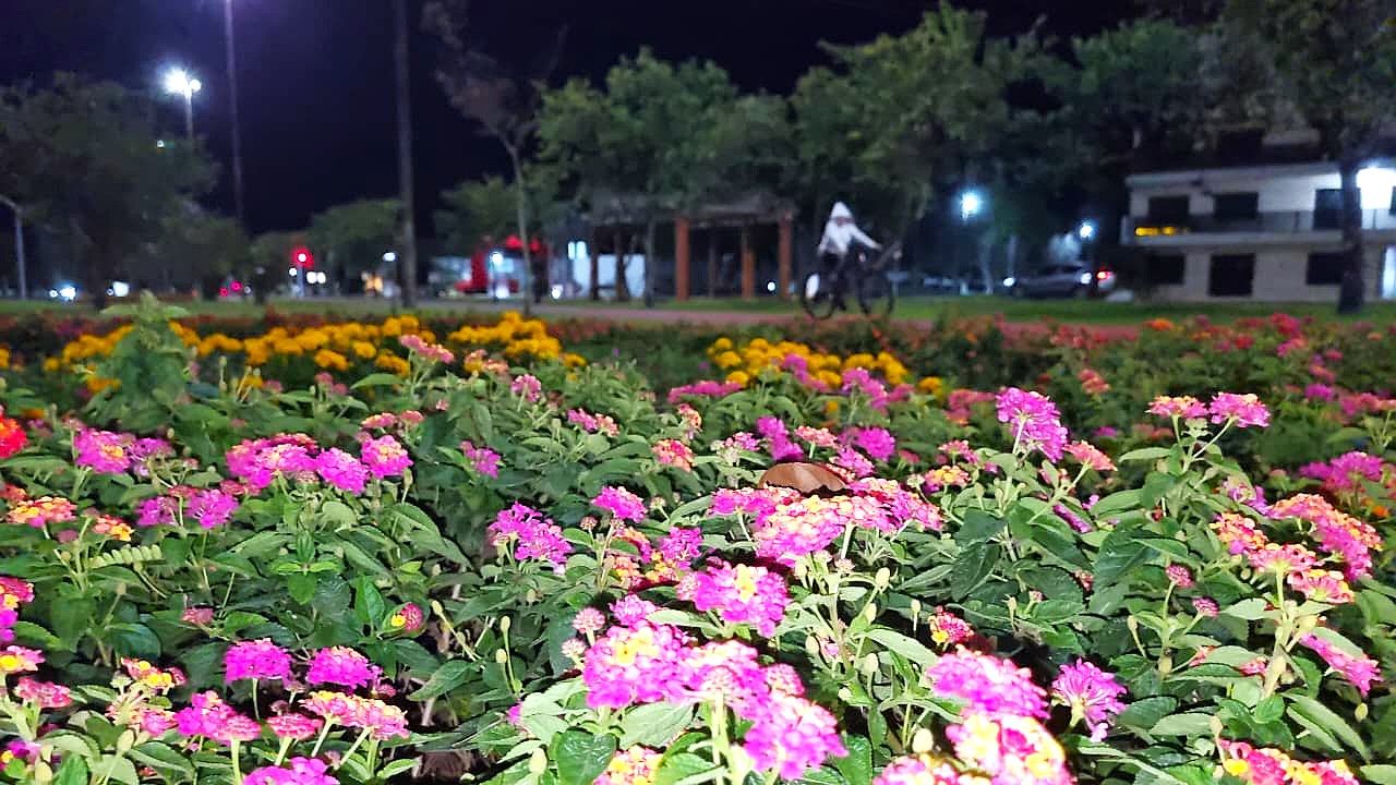 Se ontem até as capivaras se esconderam do frio, hoje o inverno deu uma trégua em Cascavel