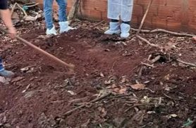 Filho é preso suspeito de matar, esquartejar e enterrar pai no quintal na Bahia