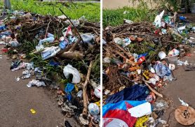 "Fedor de carniça": Terreno vira ponto de descarte de lixo e revolta morador do Interlagos