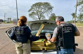 PRF e PCPR apreendem quase 400 quilos de maconha e prendem motorista em flagrante no Oeste do Paraná