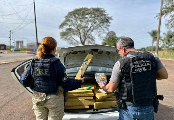 PRF e PCPR apreendem quase 400 quilos de maconha e prendem motorista em flagrante no Oeste do Paraná