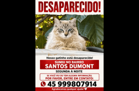 Gato Romeu desapareceu no bairro Santos Dumont