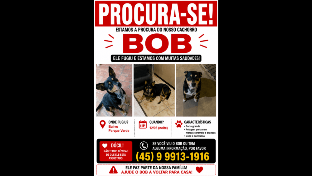 Cachorro Bob desapareceu no bairro Parque Verde Imagem referente a Cachorro Bob desapareceu no bairro Parque Verde