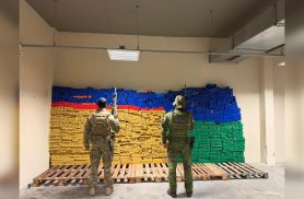 PF e BPFRON apreendem mais de 2 toneladas de maconha escondidas em caminhão boiadeiro