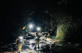 Suspeita de corpo enterrado mobiliza grande operação em área de mata em Foz
