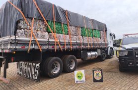 BPFRON e PF apreendem 550 quilos de maconha escondidos em caminhão na fronteira com a Argentina