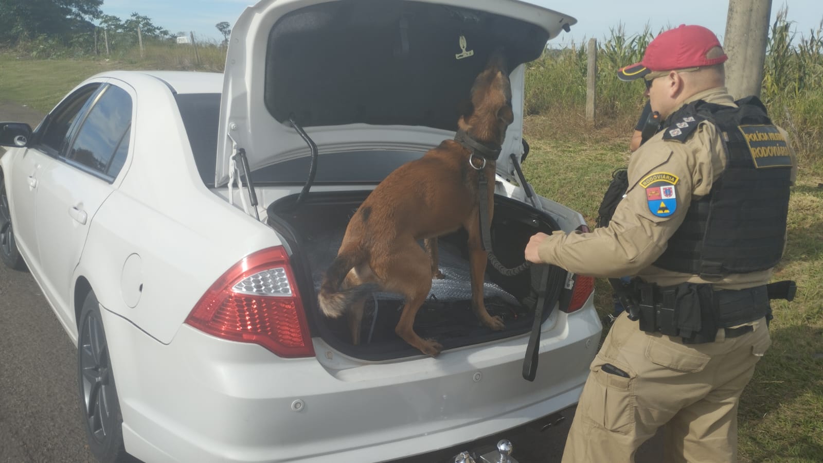 Imagem relativa a Operação do BPRv apreende cigarros e remédio emagrecedor ilegal durante blitz