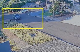 Polícia Civil busca por motorista que atropelou cachorro e fugiu em Cascavel