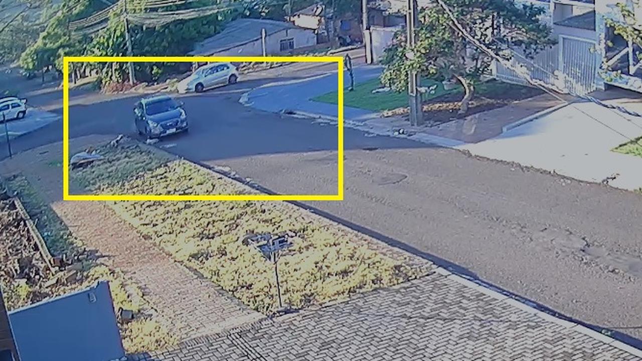 Polícia Civil busca por motorista que atropelou cachorro e fugiu em Cascavel