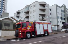 Gato abre gaveta de armário, obstrui porta e fica preso em cozinha de apartamento no Centro
