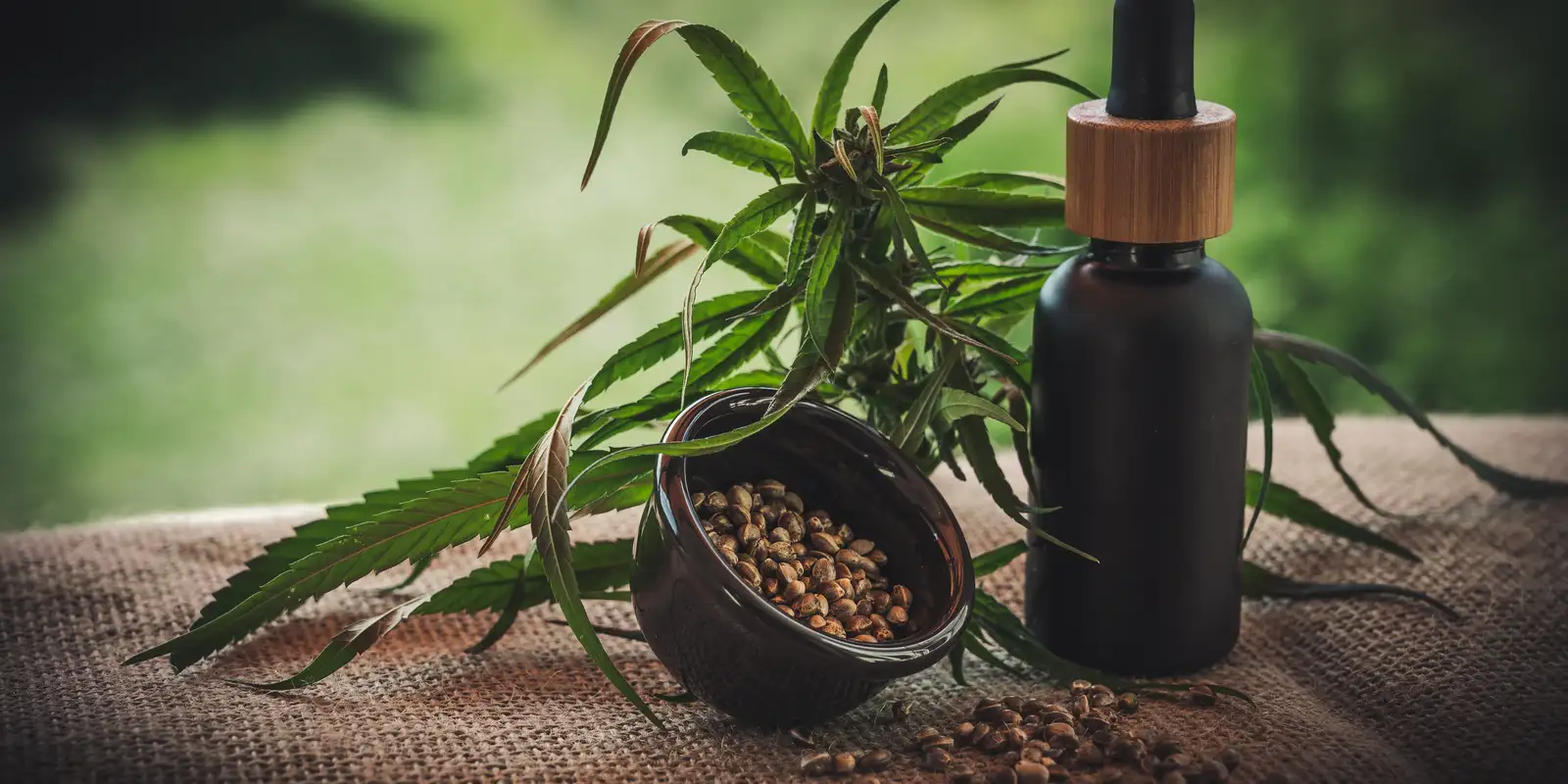 Imagem relativa a Projeto apoia mães e crianças atípicas tratadas à base de cannabis