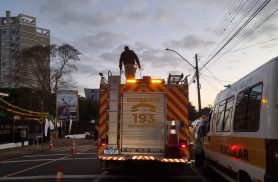 Gato assustado por fogos é resgatado por bombeiros em Cascavel