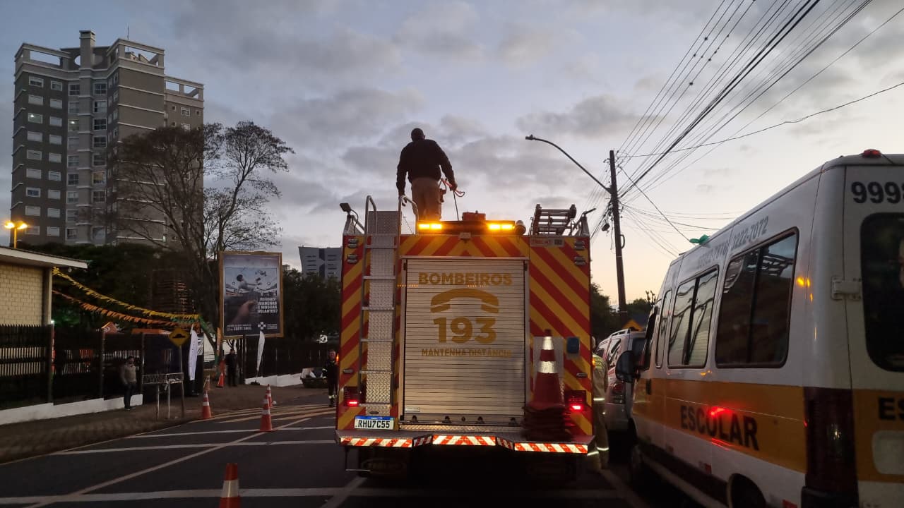 Gato assustado por fogos é resgatado por bombeiros em Cascavel