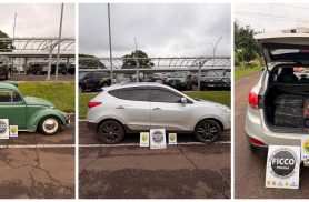 Quase 2 toneladas de maconha são apreendidas em Foz do Iguaçu durante ação integrada da polícia