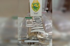 Passageira é presa com mais de 20 quilos de maconha em ônibus interestadual no Centro de Cascavel
