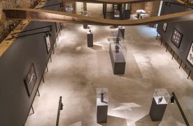 Museu Nacional lança exposições inéditas em comemoração aos 208 anos Museu Nacional lança exposições inéditas em comemoração aos 208 anos