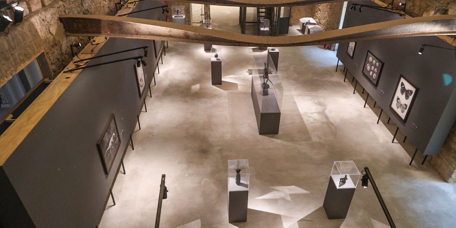 Museu Nacional lança exposições inéditas em comemoração aos 208 anos Imagem relativa a Museu Nacional lança exposições inéditas em comemoração aos 208 anos