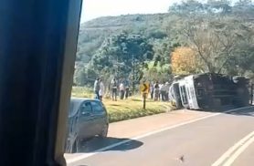 Caminhão com cavalos tomba na BR-277 e carga sai ilesa