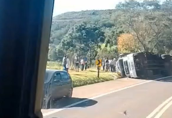 Caminhão com cavalos tomba na BR-277 e carga sai ilesa
