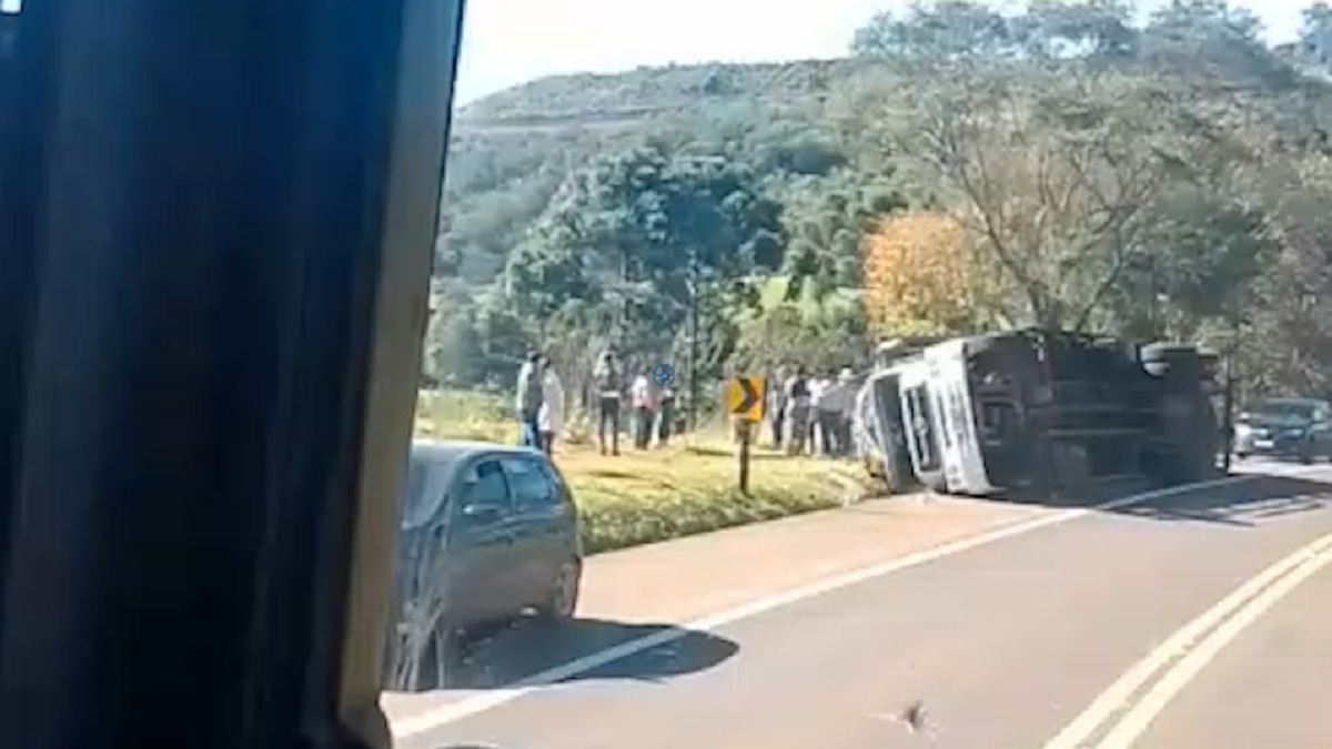 Caminhão com cavalos tomba na BR-277 e carga sai ilesa