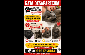 Gata Monica desapareceu no bairro Parque Verde