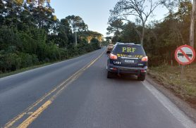 Motorista morre após capotamento e colisão com árvore na BR-153 em Rio Azul