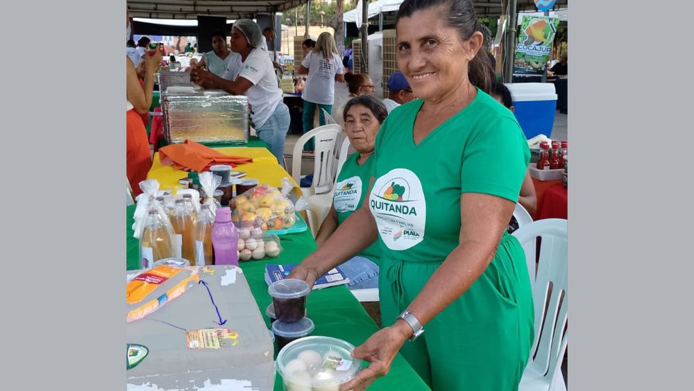 Agricultores familiares aumentam renda em 30% com programa federal Imagem referente a Agricultores familiares aumentam renda em 30% com programa federal