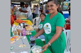 Agricultores familiares aumentam renda em 30% com programa federal 