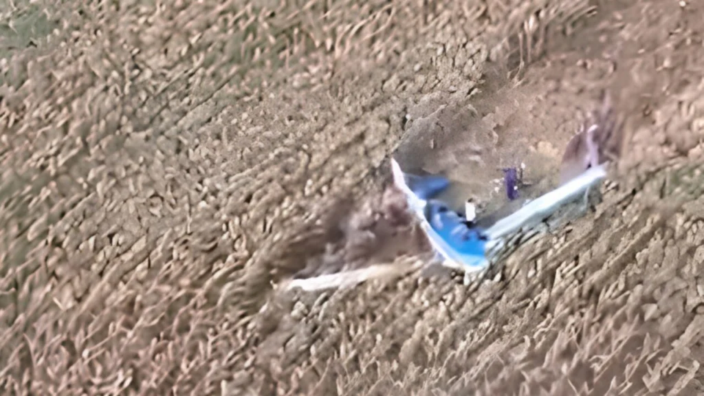 Imagem relativa a Avião agrícola cai em área rural do Paraná; piloto é socorrido pelo helicóptero do Samu