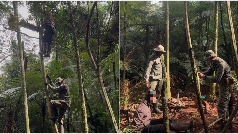Caçador armado é preso dentro do Parque Nacional do Iguaçu durante ação da PF e ICMBio Imagem referente a Caçador armado é preso dentro do Parque Nacional do Iguaçu durante ação da PF e ICMBio