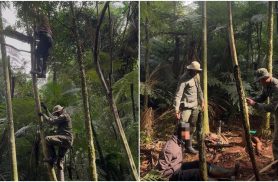Caçador armado é preso dentro do Parque Nacional do Iguaçu durante ação da PF e ICMBio