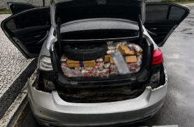 Ação conjunta apreende 319 kg de maconha e prende homem após fuga na BR-376 em Balsa Nova