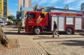 Gato em laje mobiliza Corpo de Bombeiros no Centro de Cascavel
