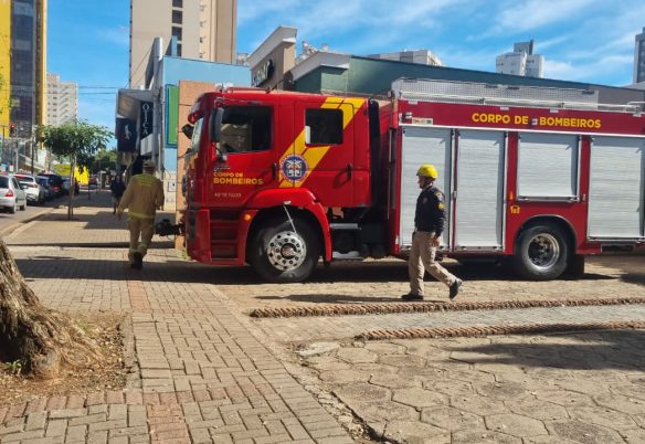 Gato em laje mobiliza Corpo de Bombeiros no Centro de Cascavel