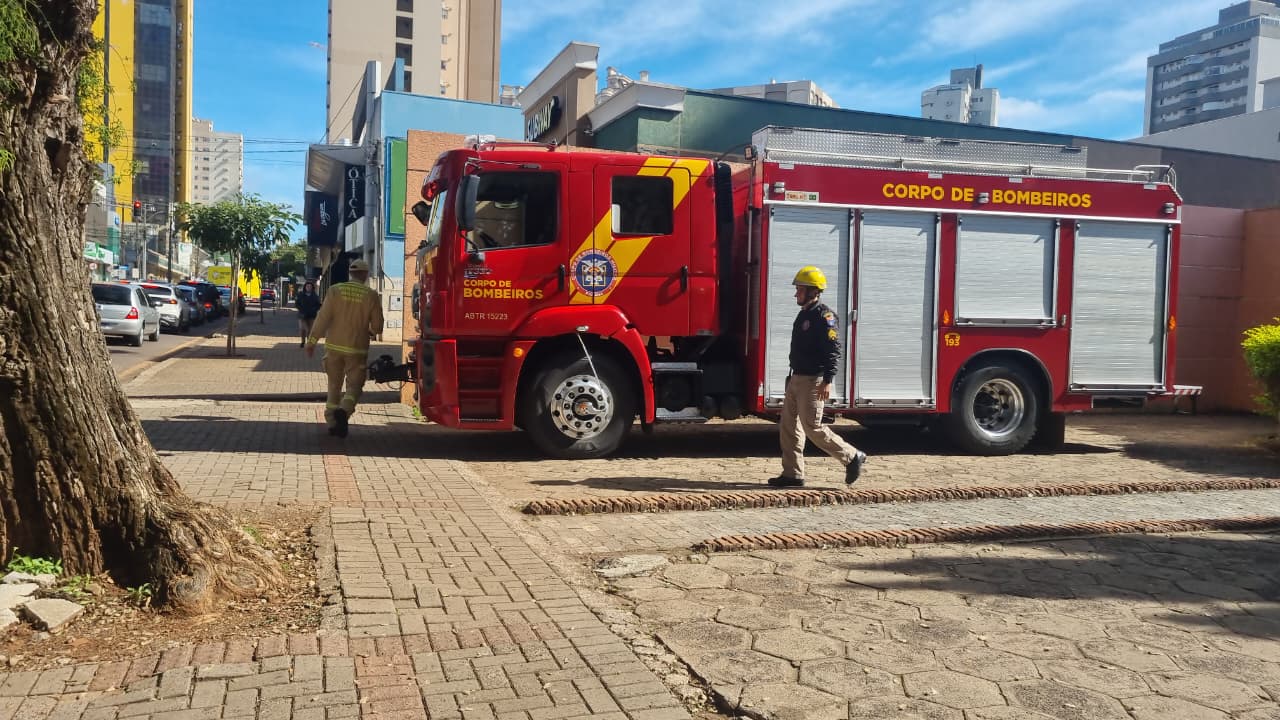 Gato em laje mobiliza Corpo de Bombeiros no Centro de Cascavel