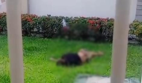 Suspeito de furto de fios é encontrado morto no pátio da Igreja dos Mórmons Imagem referente a Suspeito de furto de fios é encontrado morto no pátio da Igreja dos Mórmons