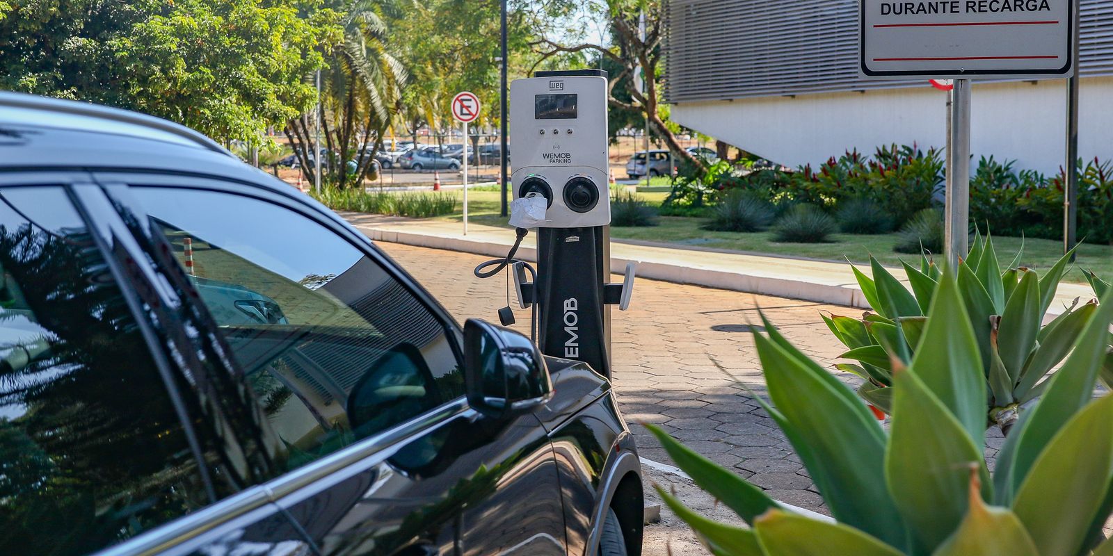 Imagem referente a Governo mantém elevação de tarifas a carro elétrico e renova cota zero