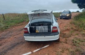 PRF apreende quase 1,3 tonelada de drogas em operações no Oeste do Paraná