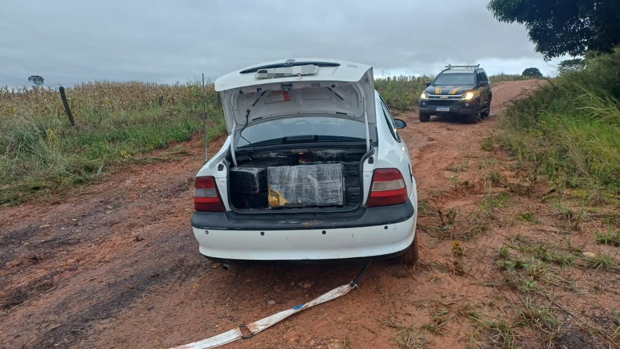PRF apreende quase 1,3 tonelada de drogas em operações no Oeste do Paraná