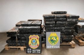 BPFRON e PF apreendem mais de 1,1 tonelada de maconha em Santa Helena