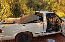 Polícia apreende mais de 1 tonelada de maconha em operação conjunta na área rural de Santa Helena