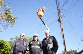 Prefeitura faz força-tarefa para garantir iluminação 100% em LED em Cascavel