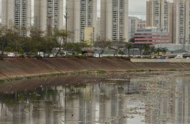 Rio Tietê não tem trecho livre de contaminação, diz SOS Mata Atlântica