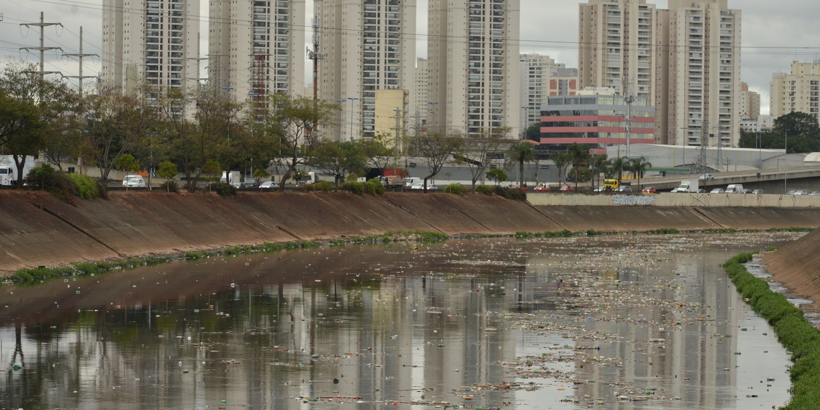 Imagem referente a Rio Tietê não tem trecho livre de contaminação, diz SOS Mata Atlântica