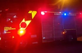 Pitbull solto em rua do Bairro Floresta mobiliza bombeiros em Cascavel