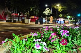Termômetros registram frio intenso em Cascavel e reforçam importância das ações de acolhimento