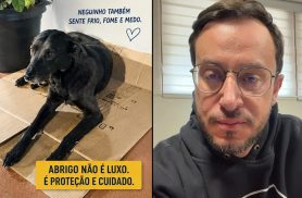 Deputado Matheus Laiola acompanha denúncia de maus-tratos a cachorro comunitário em penitenciária de Cascavel