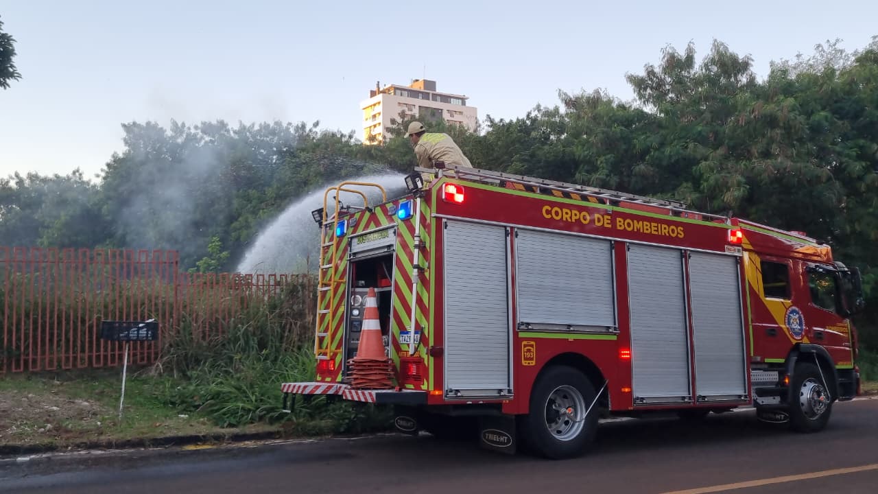Incêndio em terreno com placa de “cão feroz” mobiliza bombeiros no Cancelli