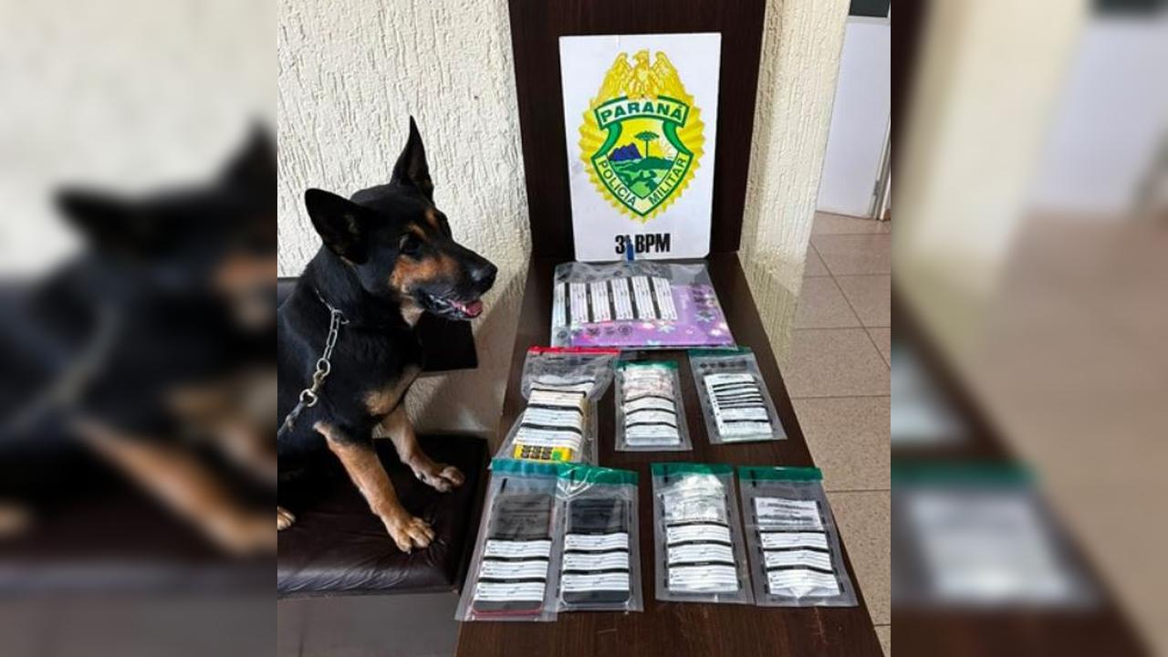 Imagem relativa a Suspeito de tráfico por 