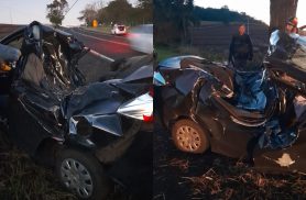 Motorista fica ferido após carro bater em árvore na BR-158, em Pato Branco